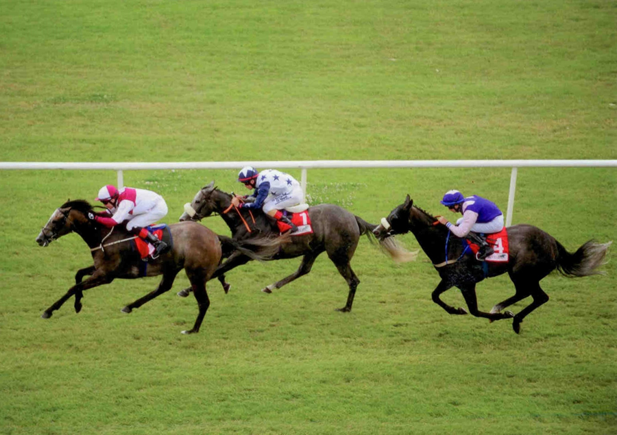 TOCCATA BLUE- Winning at The Curragh 21st July 2013.